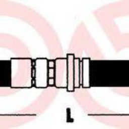 noimage