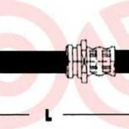 noimage