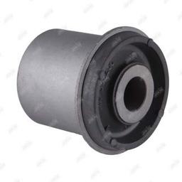 pimage1